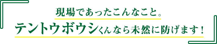 現場であったこんなこと。テントウボウシくんなら未然に防げます！